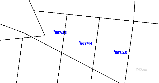 Parcela st. 557/44 v KÚ Nesvačily u Bystřice, Katastrální mapa