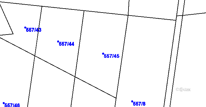 Parcela st. 557/45 v KÚ Nesvačily u Bystřice, Katastrální mapa