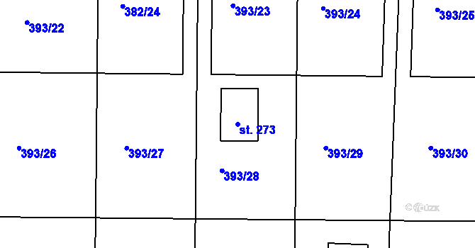 Parcela st. 273 v KÚ Nesvačily u Bystřice, Katastrální mapa