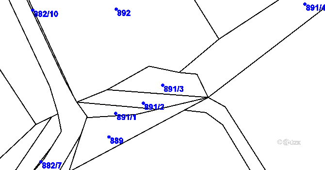 Parcela st. 891/3 v KÚ Bystřice nad Olší, Katastrální mapa