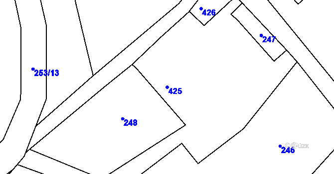 Parcela st. 425 v KÚ Dvořiště u Bystřice nad Pernštejnem, Katastrální mapa
