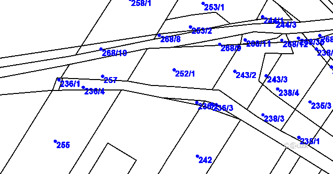 Parcela st. 251/2 v KÚ Rychlov u Bystřice pod Hostýnem, Katastrální mapa