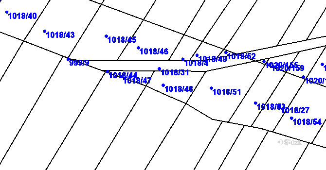 Parcela st. 1018/48 v KÚ Rychlov u Bystřice pod Hostýnem, Katastrální mapa