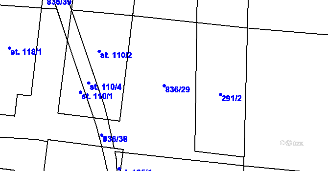 Parcela st. 836/29 v KÚ Byzhradec, Katastrální mapa