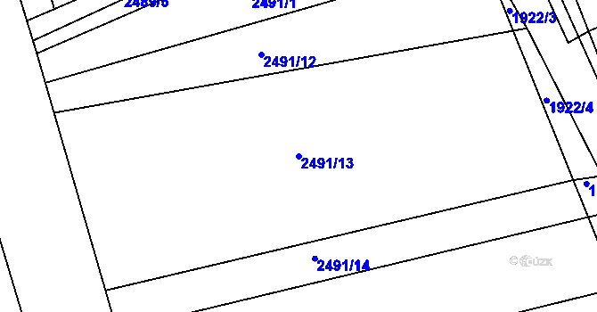 Parcela st. 2491/13 v KÚ Bzenec, Katastrální mapa