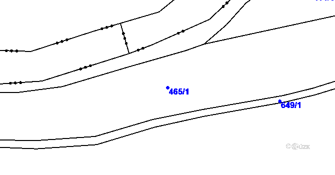 Parcela st. 465/1 v KÚ Bžany, Katastrální mapa