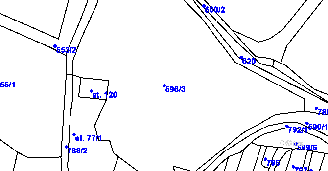 Parcela st. 596/3 v KÚ Lhenice u Bžan, Katastrální mapa