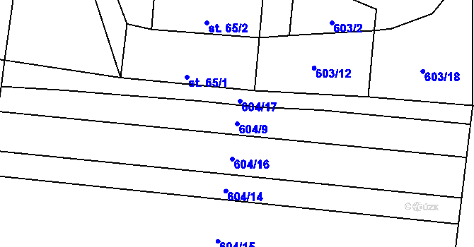 Parcela st. 604/9 v KÚ Cep, Katastrální mapa