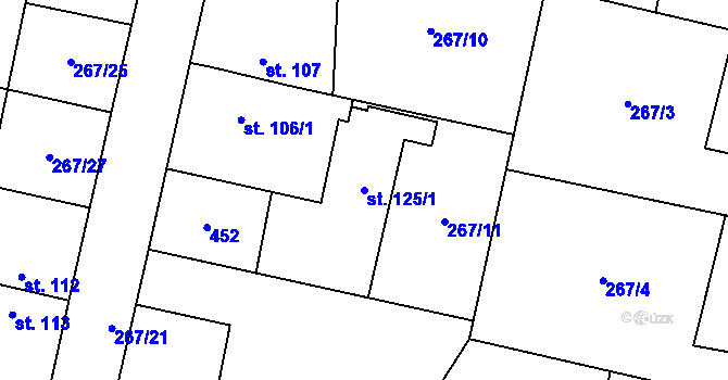 Parcela st. 125/1 v KÚ Cerekvice nad Bystřicí, Katastrální mapa