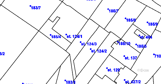 Parcela st. 124/3 v KÚ Cerekvice nad Loučnou, Katastrální mapa