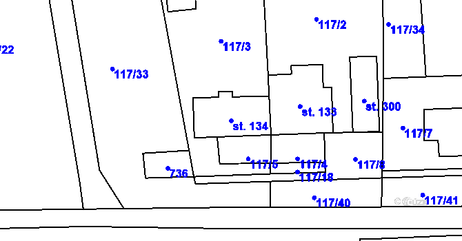 Parcela st. 134 v KÚ Cerekvice nad Loučnou, Katastrální mapa
