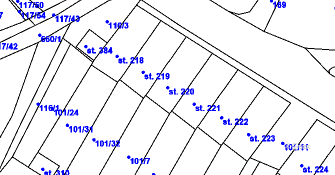 Parcela st. 220 v KÚ Cerekvice nad Loučnou, Katastrální mapa