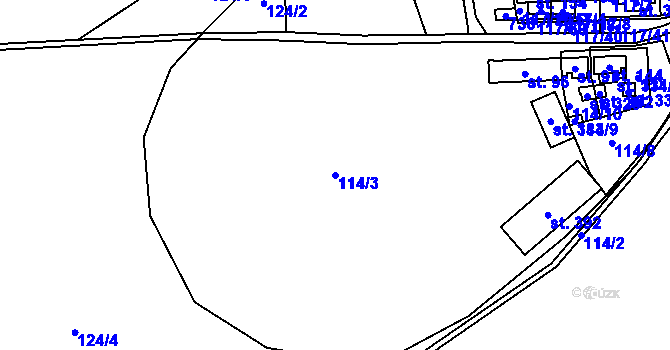 Parcela st. 114/3 v KÚ Cerekvice nad Loučnou, Katastrální mapa