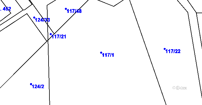 Parcela st. 117/1 v KÚ Cerekvice nad Loučnou, Katastrální mapa
