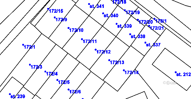 Parcela st. 172/12 v KÚ Cerekvice nad Loučnou, Katastrální mapa