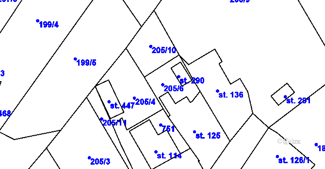 Parcela st. 205/6 v KÚ Cerekvice nad Loučnou, Katastrální mapa