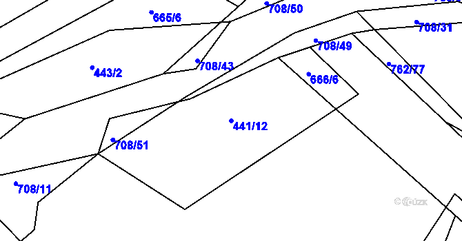 Parcela st. 441/12 v KÚ Cerekvice nad Loučnou, Katastrální mapa