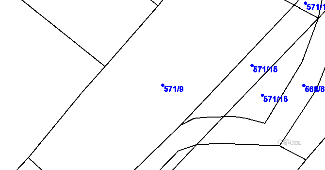 Parcela st. 571/9 v KÚ Cerekvice nad Loučnou, Katastrální mapa