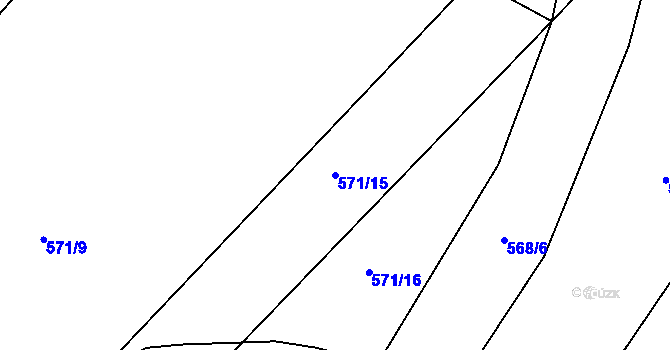 Parcela st. 571/15 v KÚ Cerekvice nad Loučnou, Katastrální mapa