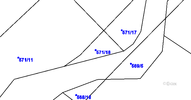 Parcela st. 571/18 v KÚ Cerekvice nad Loučnou, Katastrální mapa