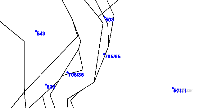 Parcela st. 705/65 v KÚ Cerekvice nad Loučnou, Katastrální mapa