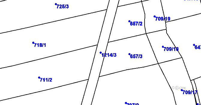 Parcela st. 1214/3 v KÚ Cerekvička, Katastrální mapa