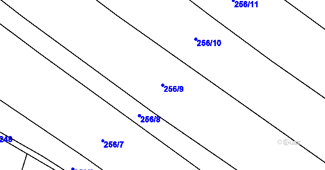 Parcela st. 256/9 v KÚ Cerhenice, Katastrální mapa