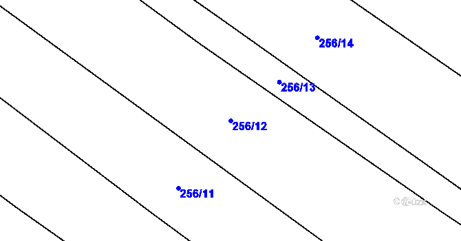 Parcela st. 256/12 v KÚ Cerhenice, Katastrální mapa