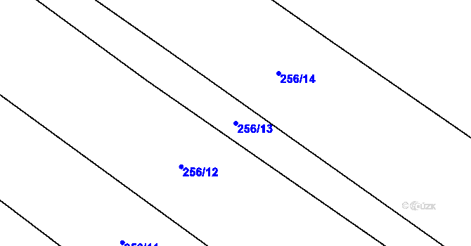 Parcela st. 256/13 v KÚ Cerhenice, Katastrální mapa