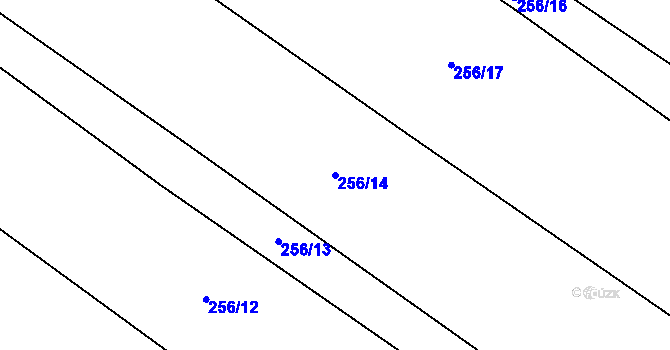 Parcela st. 256/14 v KÚ Cerhenice, Katastrální mapa