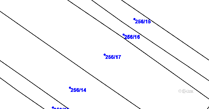 Parcela st. 256/17 v KÚ Cerhenice, Katastrální mapa