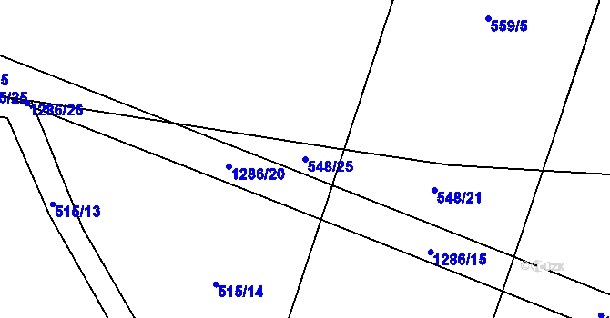 Parcela st. 548/25 v KÚ Cerhenice, Katastrální mapa