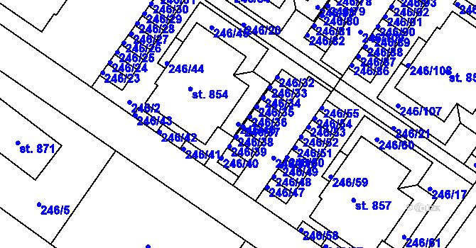 Parcela st. 246/46 v KÚ Cerhenice, Katastrální mapa