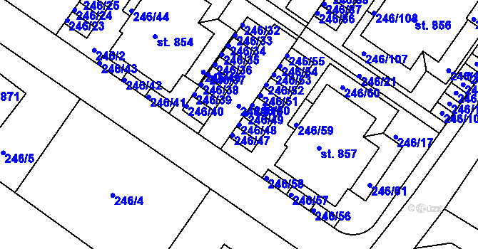 Parcela st. 246/48 v KÚ Cerhenice, Katastrální mapa