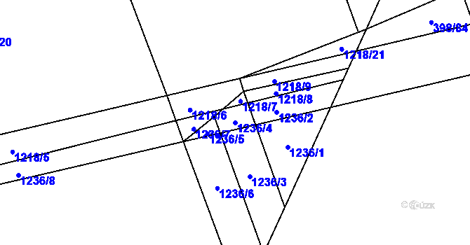 Parcela st. 1236/4 v KÚ Cerhovice, Katastrální mapa