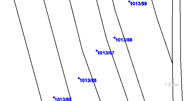 Parcela st. 1013/87 v KÚ Cerhovice, Katastrální mapa