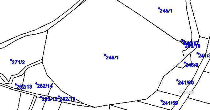 Parcela st. 246/1 v KÚ Cetoraz, Katastrální mapa