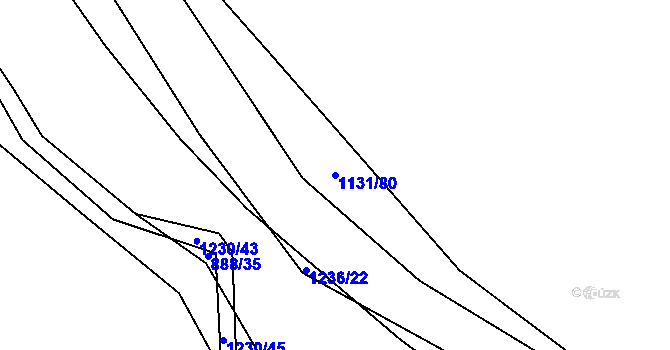 Parcela st. 1131/80 v KÚ Cínovec, Katastrální mapa