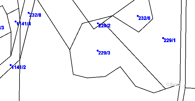 Parcela st. 229/3 v KÚ Cínovec, Katastrální mapa
