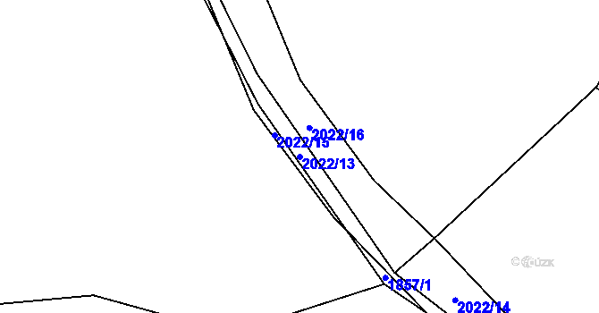 Parcela st. 2022/13 v KÚ Cotkytle, Katastrální mapa