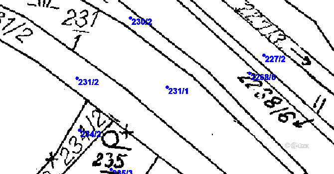 Parcela st. 231/1 v KÚ Ctidružice, Katastrální mapa