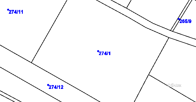 Parcela st. 274/1 v KÚ Černouček, Katastrální mapa