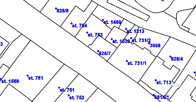 Parcela st. 828/7 v KÚ Cvikov, Katastrální mapa