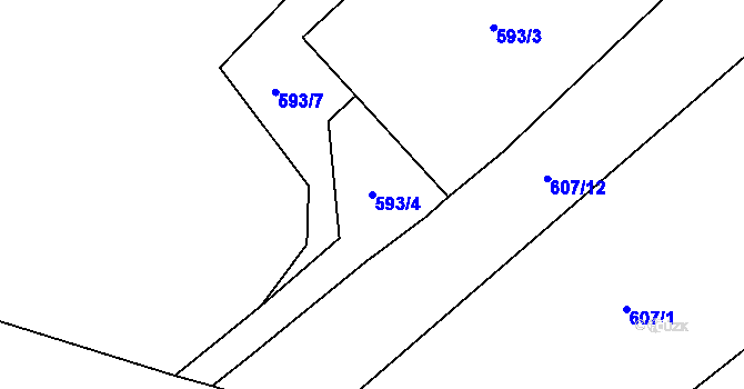 Parcela st. 593/4 v KÚ Trávník u Cvikova, Katastrální mapa