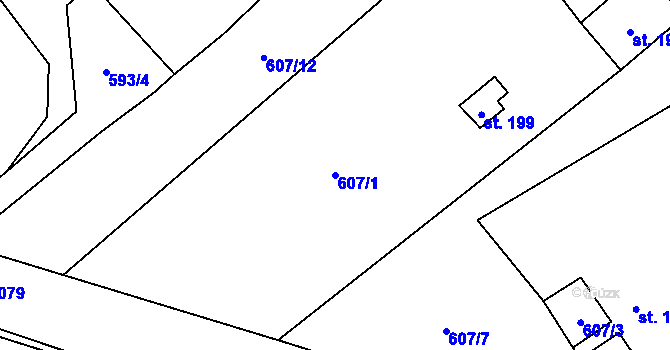Parcela st. 607/1 v KÚ Trávník u Cvikova, Katastrální mapa