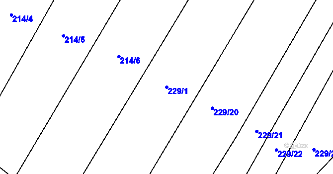 Parcela st. 229/1 v KÚ Bradné, Katastrální mapa