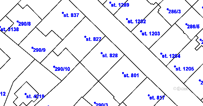 Parcela st. 828 v KÚ Čáslav, Katastrální mapa
