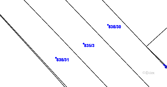 Parcela st. 835/3 v KÚ Čáslav, Katastrální mapa