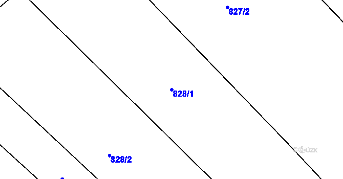 Parcela st. 828/1 v KÚ Čáslav, Katastrální mapa