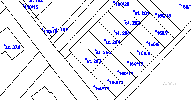 Parcela st. 265 v KÚ Čáslavice, Katastrální mapa